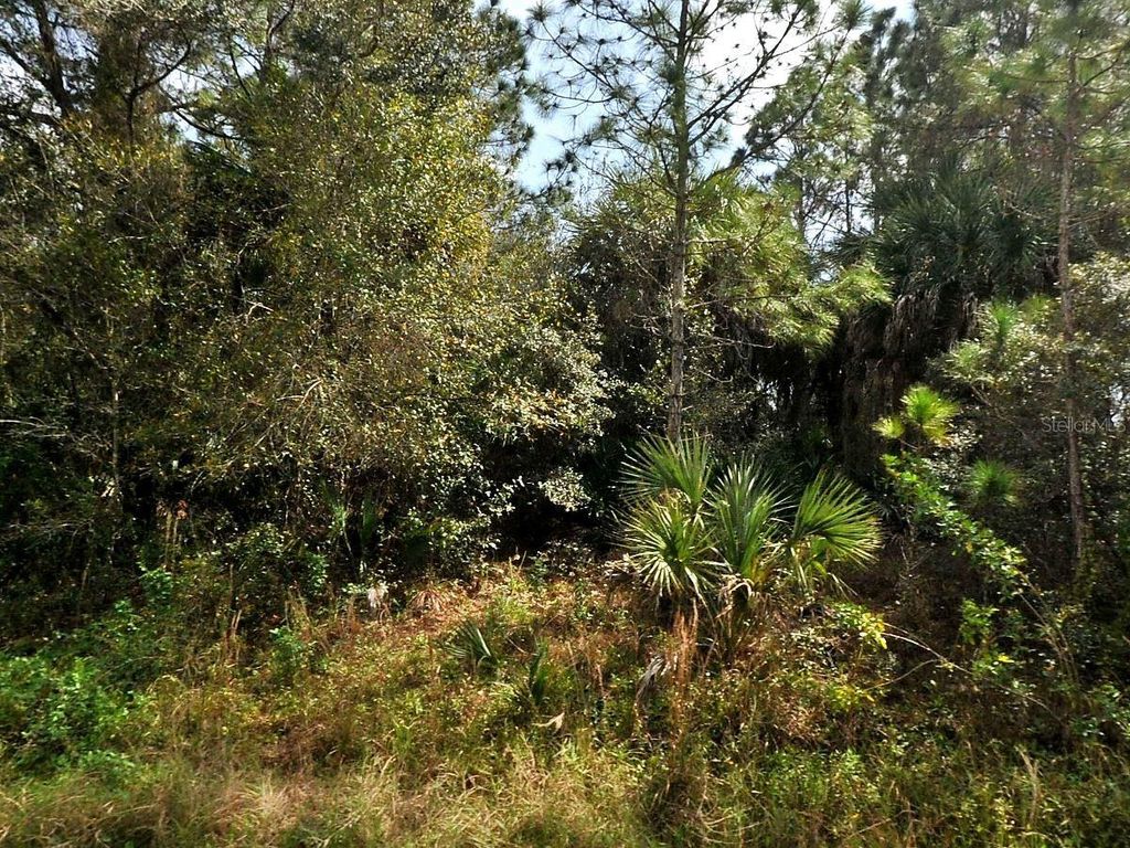 Photo of Hamilton Avenue, North Port, FL 34286 (MLS # O6380899)