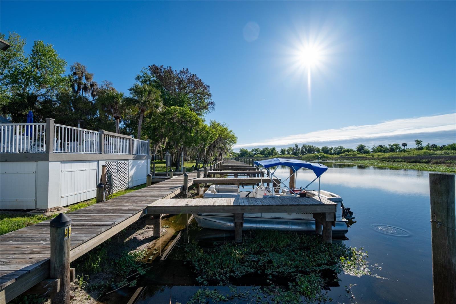 239 RIVER VILLAGE DRIVE