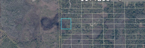 Photo of 407 Dill Road, Orlando, FL 32820 (MLS # O6414483)