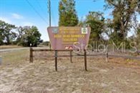 Tiny photo for 7088 N Lecanto Highway, Hernando, FL 34442 (MLS # OM717880)