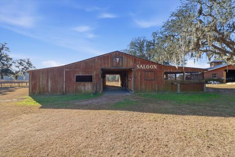 Tiny photo for 7088 N Lecanto Highway, Hernando, FL 34442 (MLS # OM717880)