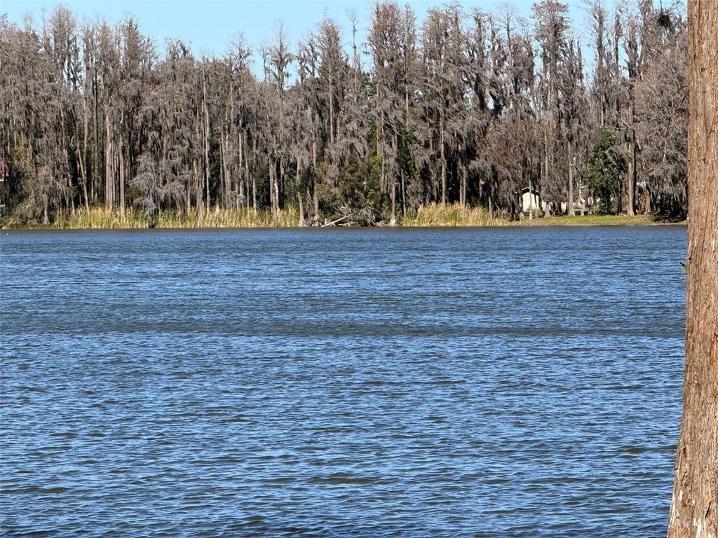 Photo of 20425 Gardenia Drive, Land O Lakes, FL 34638 (MLS # TB8479110)