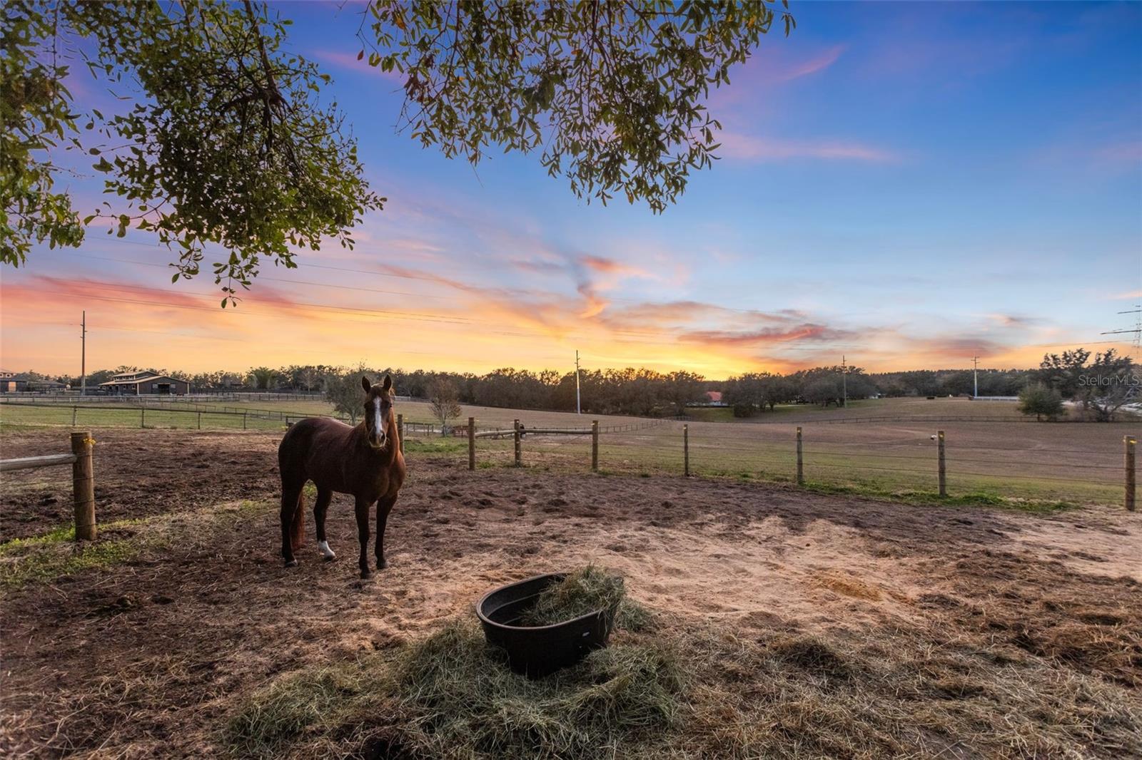 LAKE AVALON GRVS 2ND REP - Residential