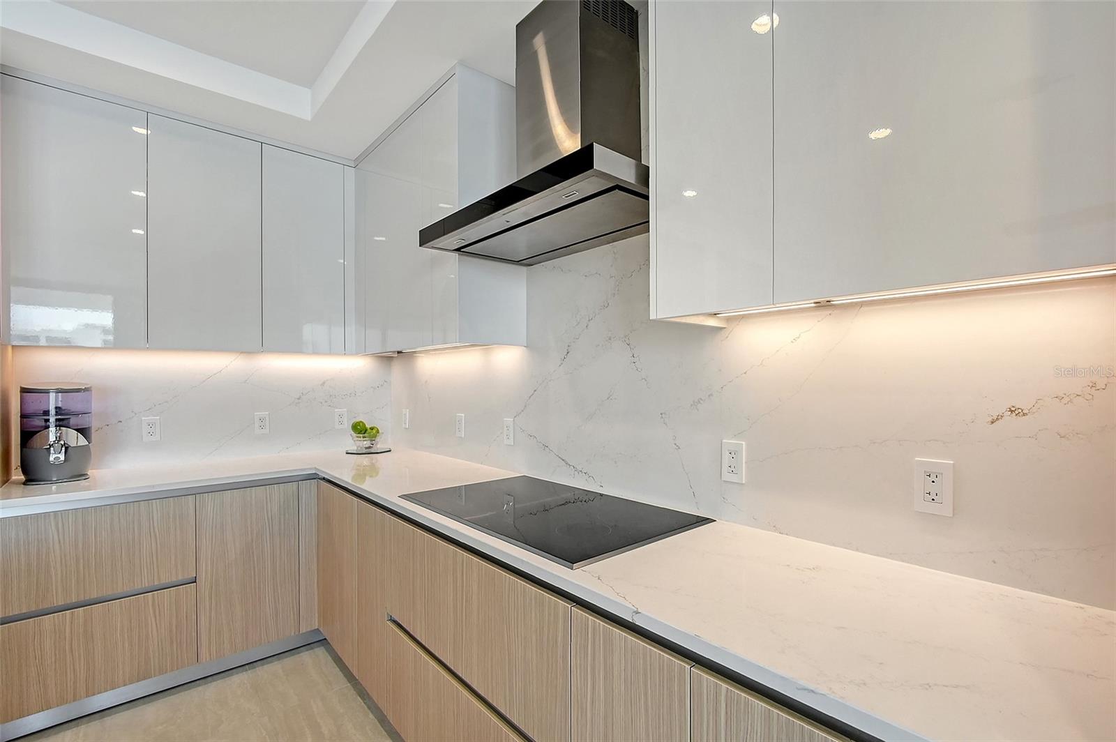 BAYSO SARASOTA CONDOMINIUM - Residential