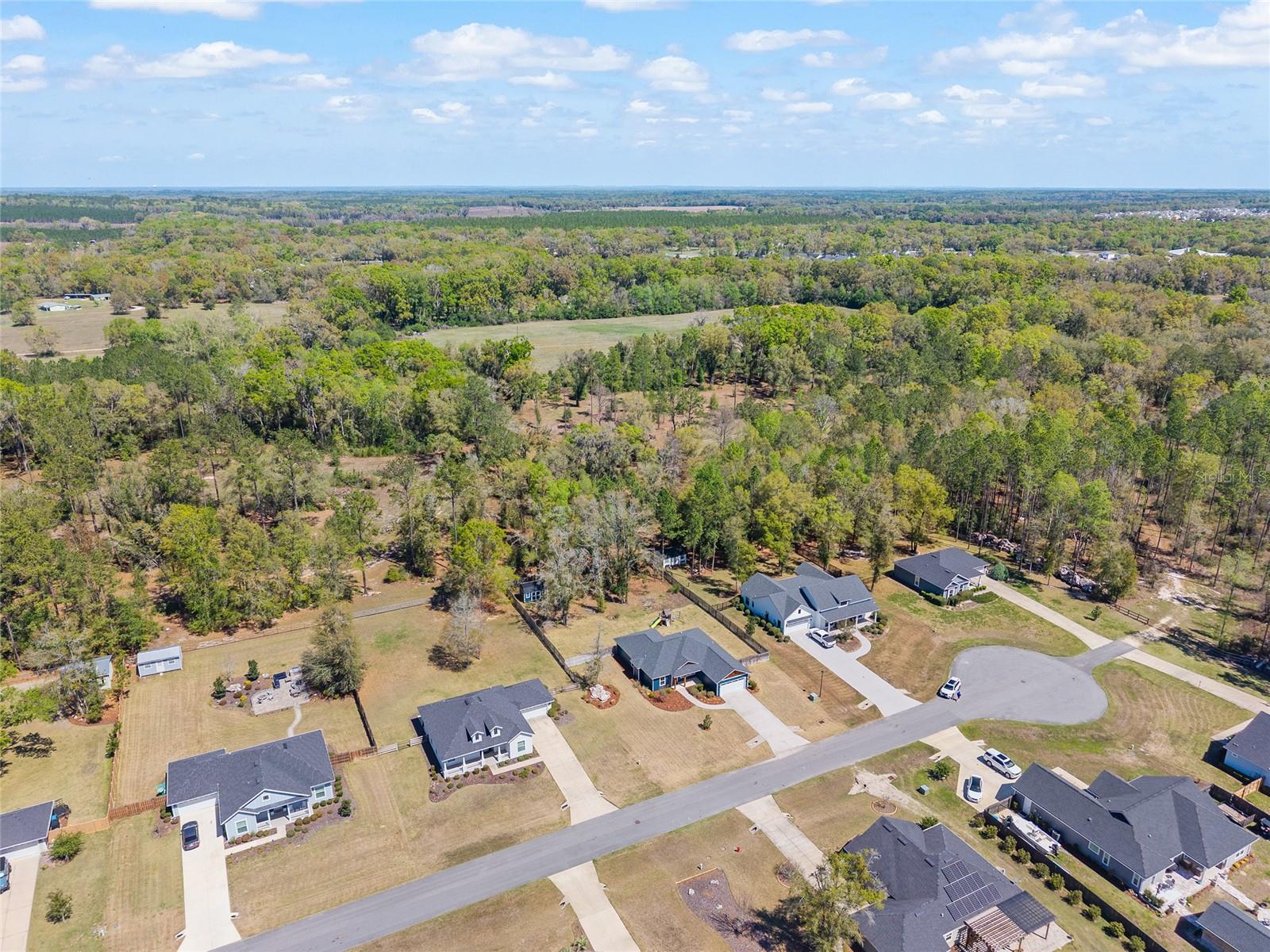 PEYTON'S PRESERVE PB 36 PG 7 LOT 12 OR 4781/1221 - Residential