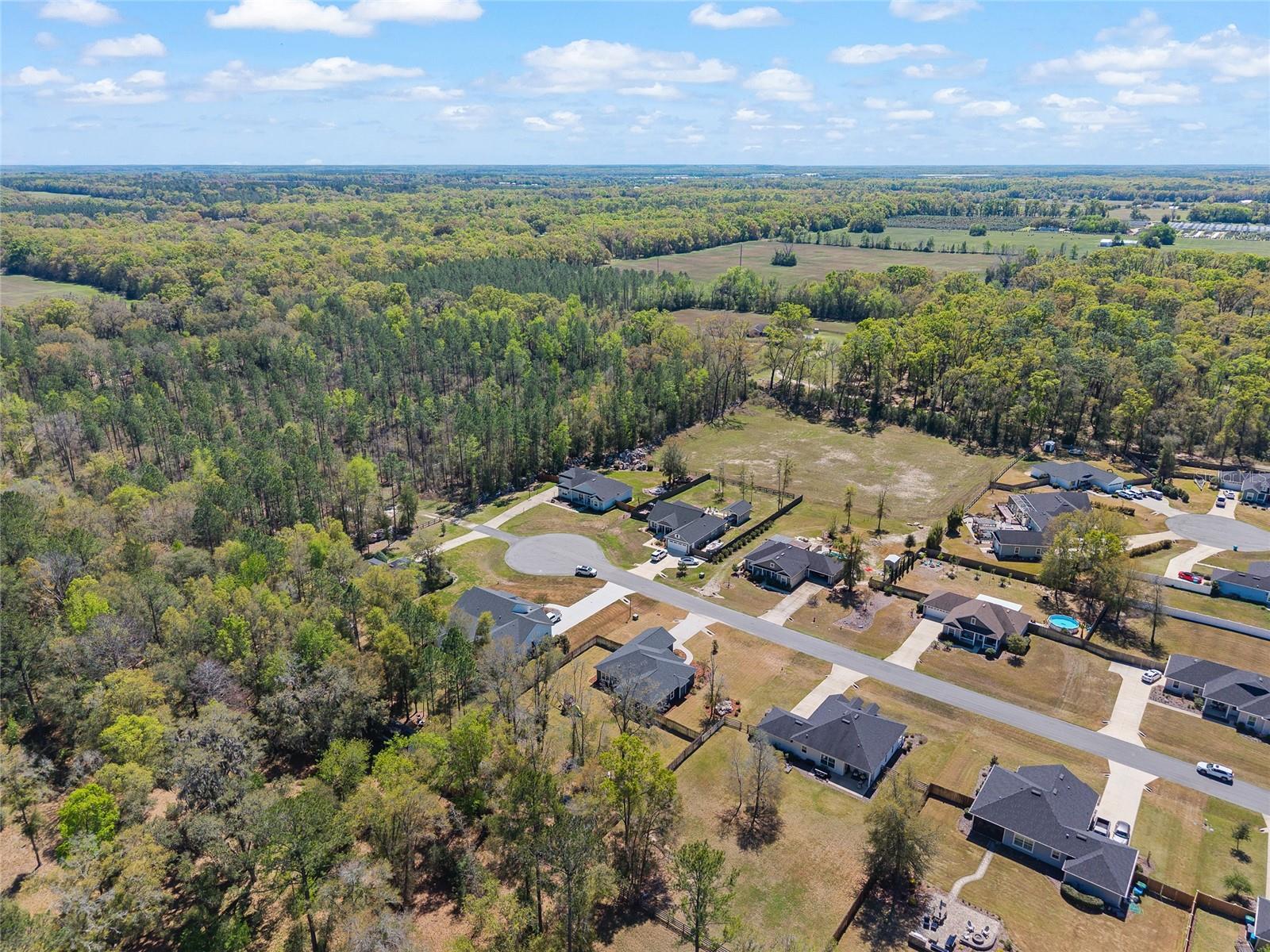 PEYTON'S PRESERVE PB 36 PG 7 LOT 12 OR 4781/1221 - Residential