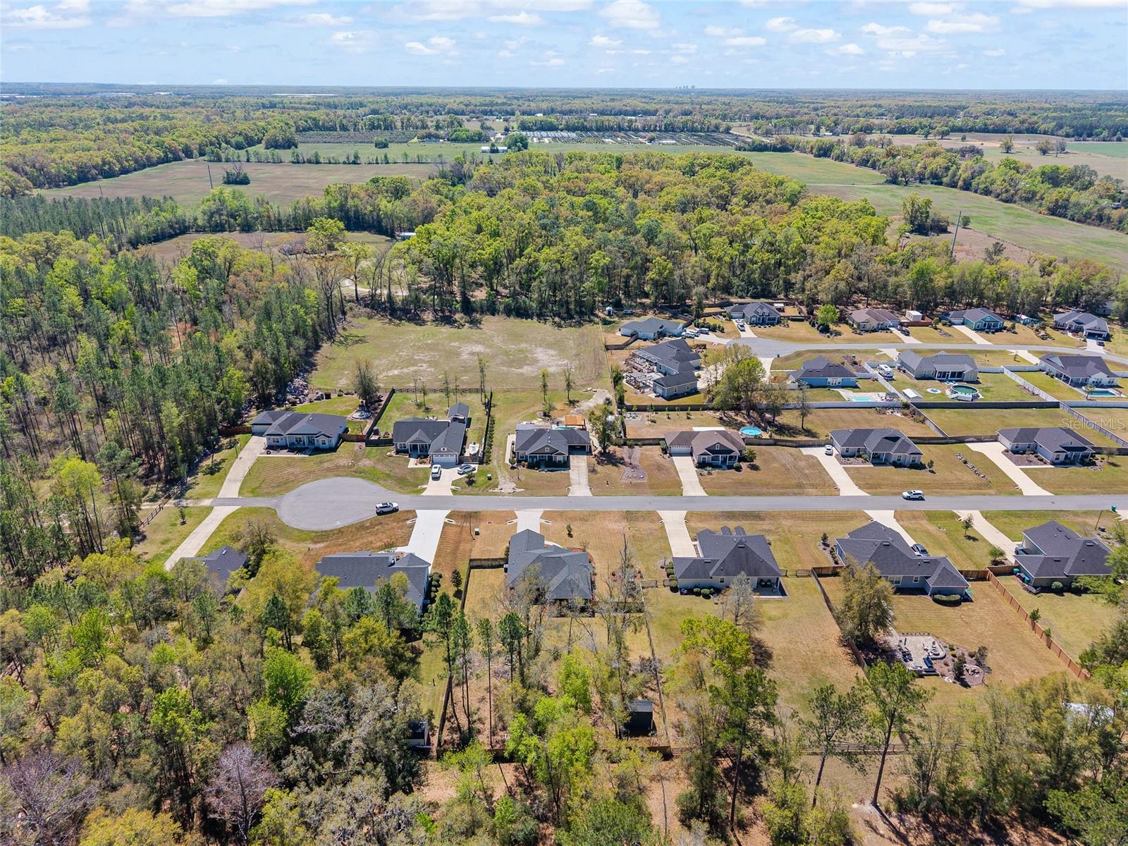 PEYTON'S PRESERVE PB 36 PG 7 LOT 12 OR 4781/1221 - Residential