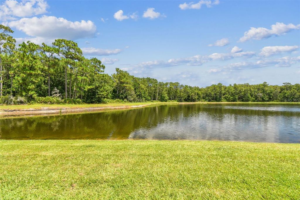 Photo of 9311 Mangrove Court, Tampa, FL 33647 (MLS # TB8413070)