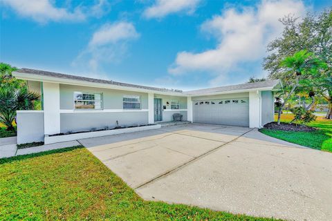 7195 AUGUSTA BOULEVARD SEMINOLE FL 33777