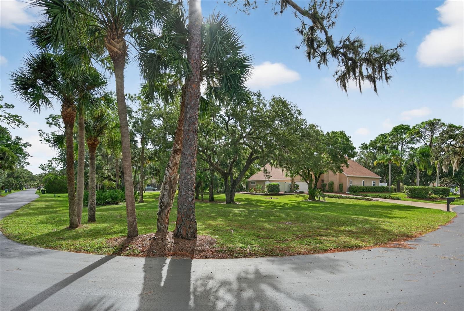 TURTLE CREEK 2 - Residential