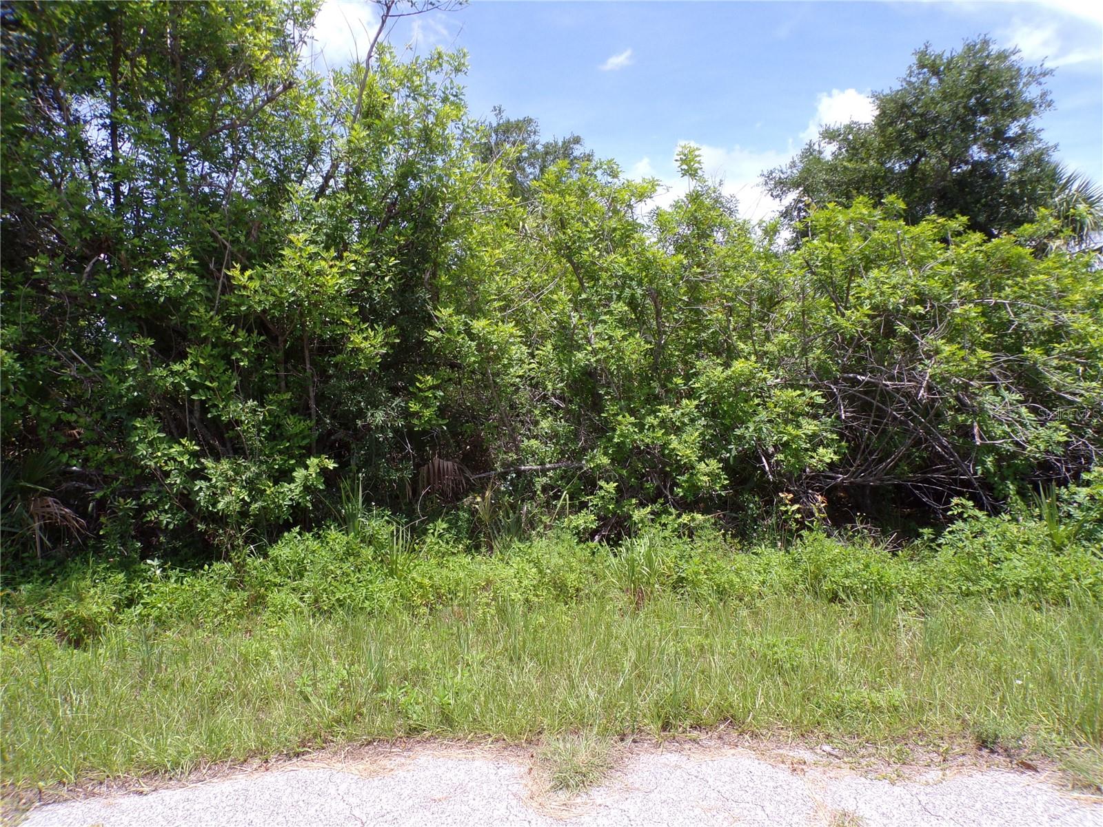 This lot is in the highly desired Flood Zone X, this means no flood insurance required. This quiet street that would be a great place to build your dream home and retire or raise your family. Less than 16 miles to I75 makes this location an easy commute to almost anywhere, and only 9 miles to Chadwick park at Englewood Beach with amazing sunsets, 18 miles to South Englewood with lots of shopping and dining options. Tampa Bay Rays spring training and the fairgrounds are just minutes away, also multiple golf courses and some of the best boating and fishing in all of Florida. Red Soxs, Orioles, Twins and Braves spring training all within an hour’s drive. Buyer and buyers rep responsible for determining environment conditions and endangered species restrictions. This lot is priced to sell so please call for availability! This lot is at a great price point for the investor call today.