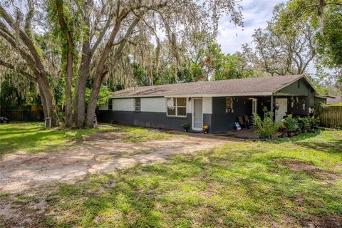 Photo of 4617 E Seneca Avenue, Tampa, FL 33617 (MLS # O6347990)