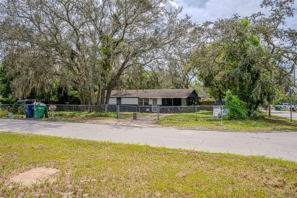 Photo of 4617 E Seneca Avenue, Tampa, FL 33617 (MLS # O6347990)