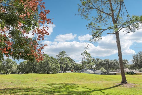 Tiny photo for 15052 Green Valley Boulevard, Clermont, FL 34711 (MLS # W7890795)