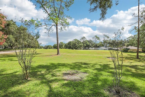 Tiny photo for 15052 Green Valley Boulevard, Clermont, FL 34711 (MLS # W7890795)