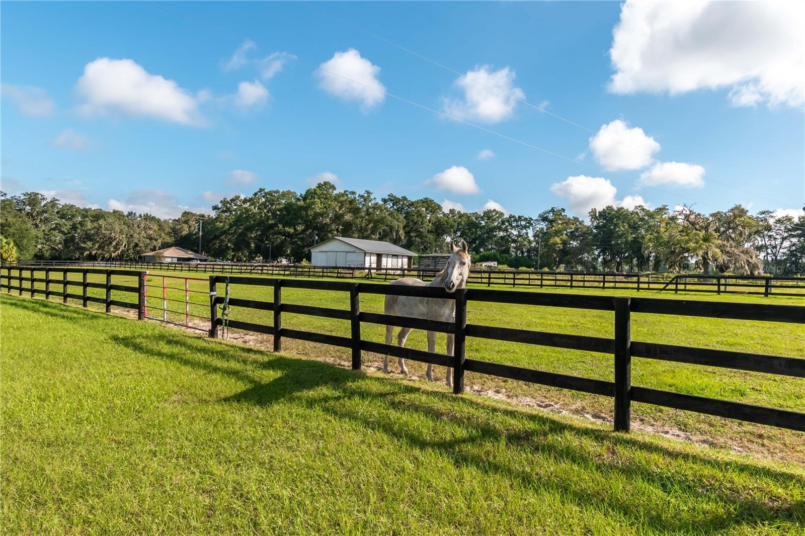 AG NON SUB - Residential