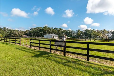 Tiny photo for 11851 SW 38th Street, Ocala, FL 34481 (MLS # OM711661)