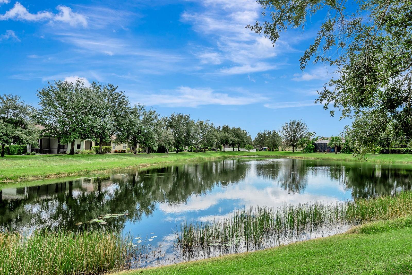 CENTRAL PARK SUBPHASE A-2A - Residential