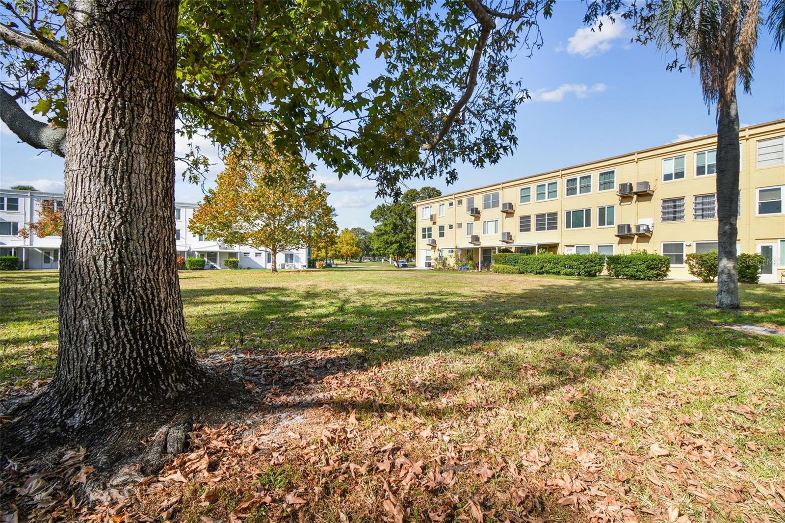 ON TOP OF THE WORLD - Residential