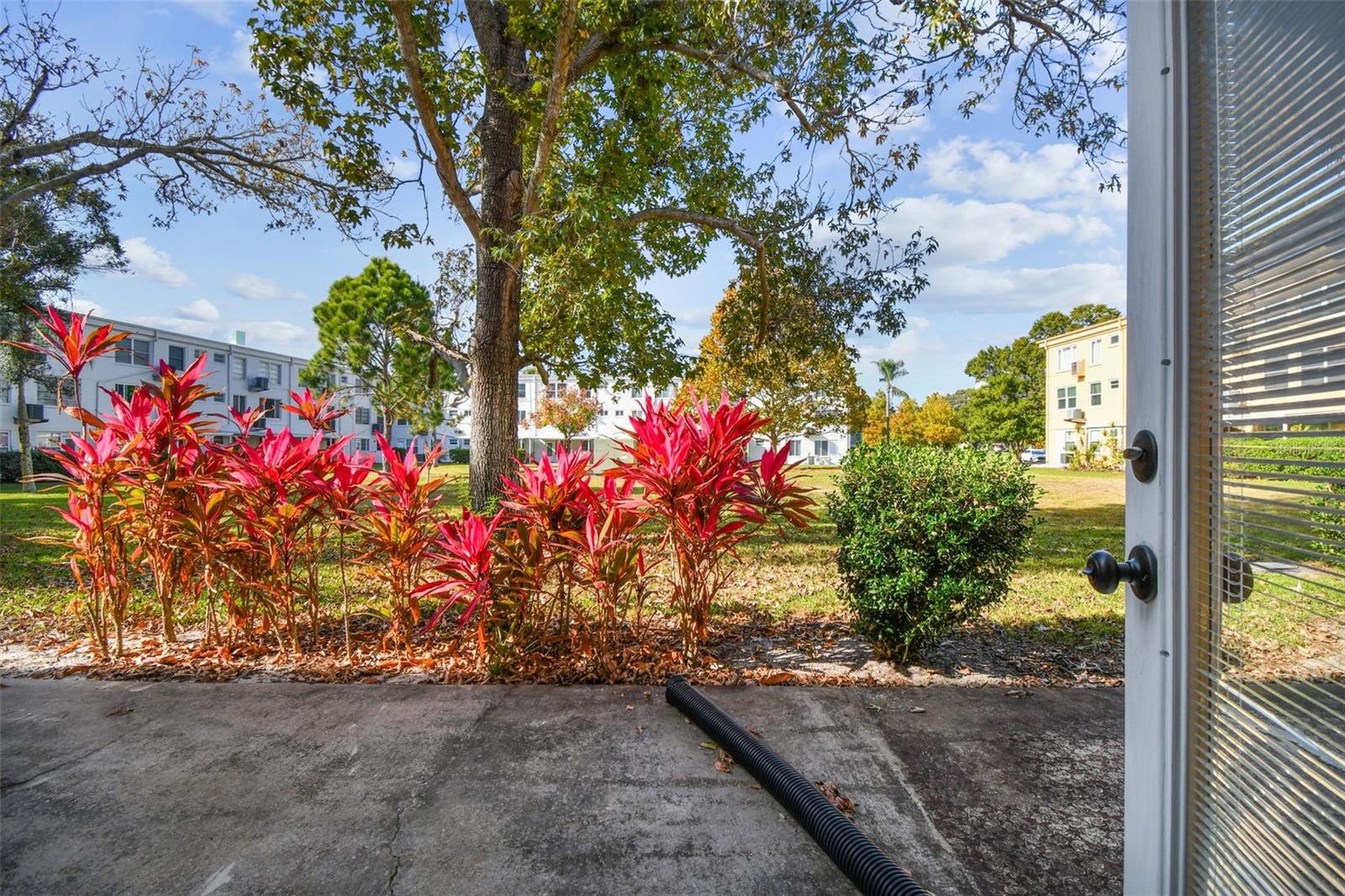 ON TOP OF THE WORLD - Residential