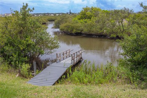 A home in FLAGLER BEACH