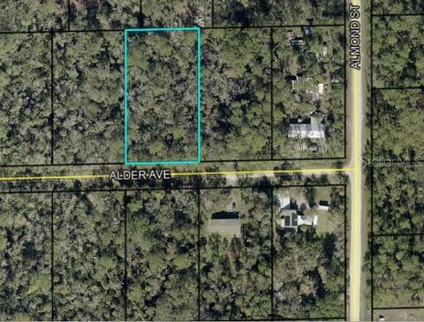 6296 ALDER AVENUE BUNNELL FL 32110