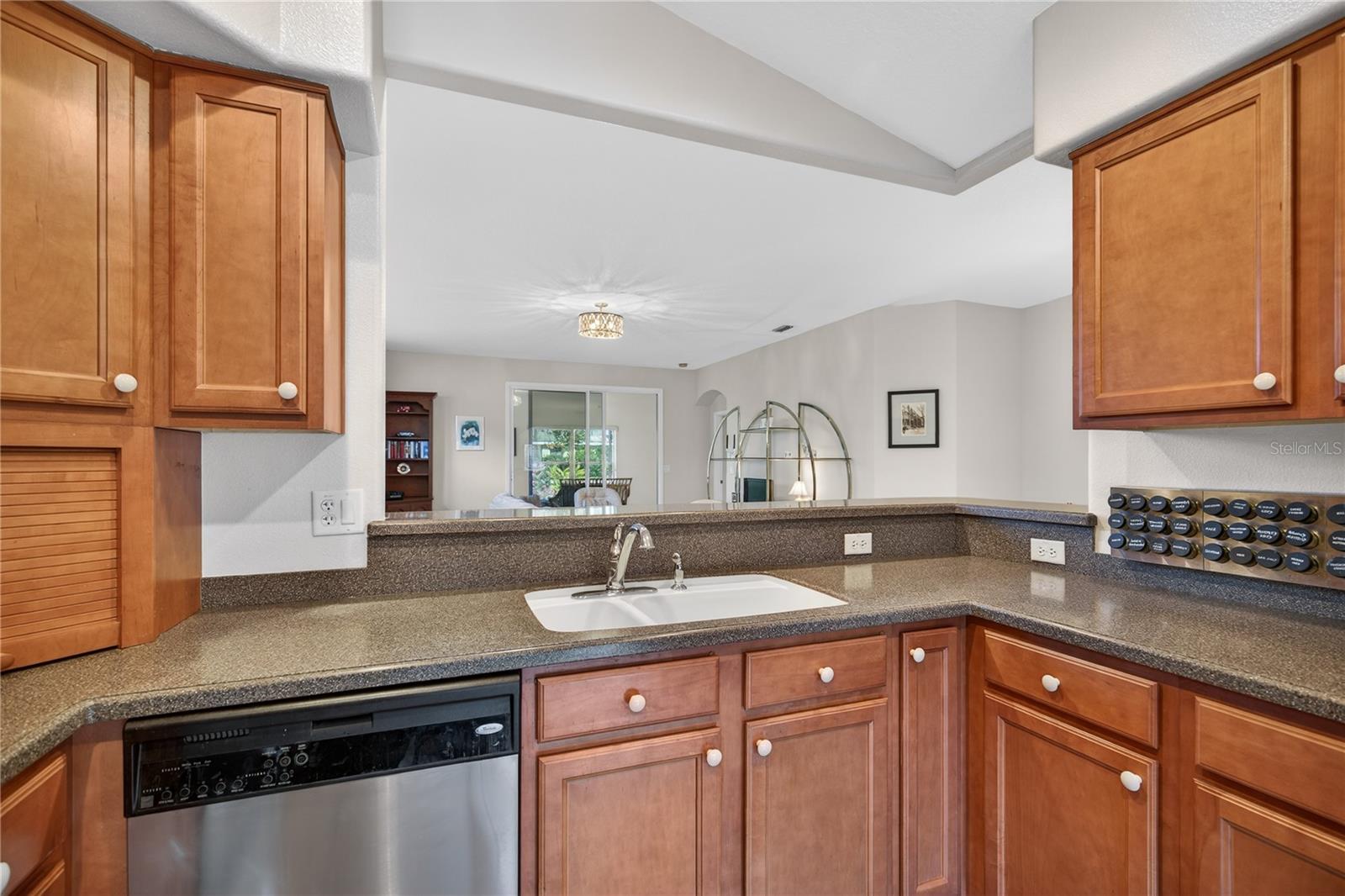 LAKES OF MOUNT DORA PH 1 - Residential