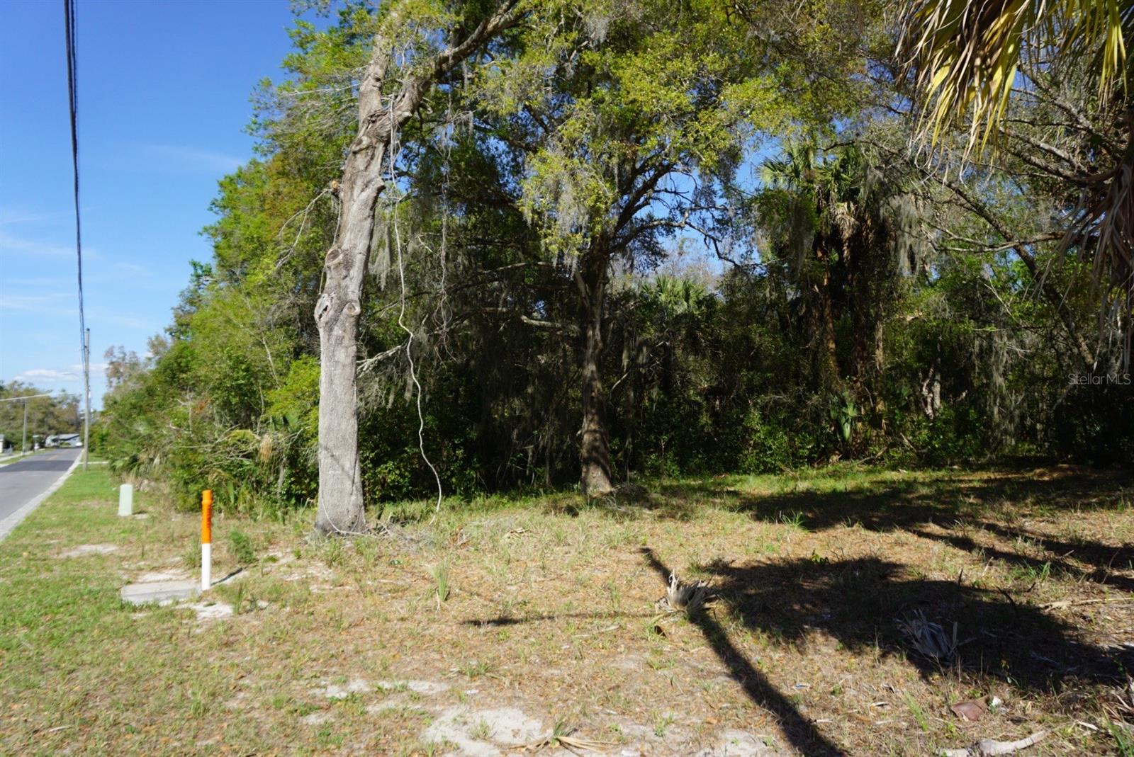 EUSTIS HOGANS SUB - Land