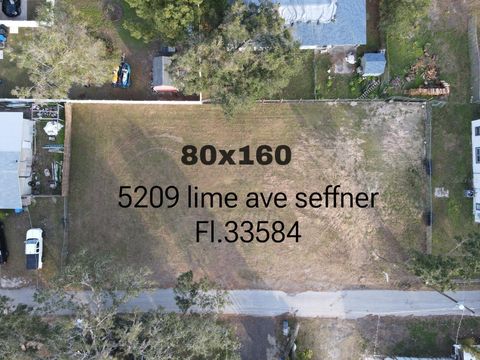 Photo of 5209 Lime Avenue, Seffner, FL 33584 (MLS # TB8449506)