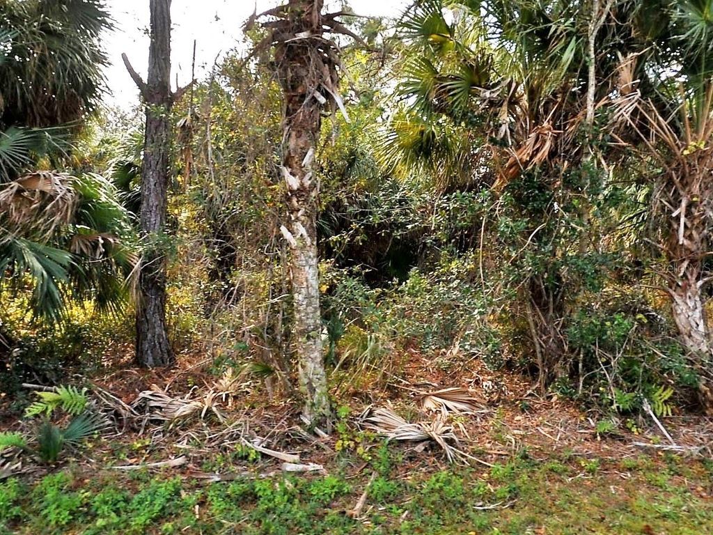 Photo of Vogler Lane, North Port, FL 34286 (MLS # C7526571)