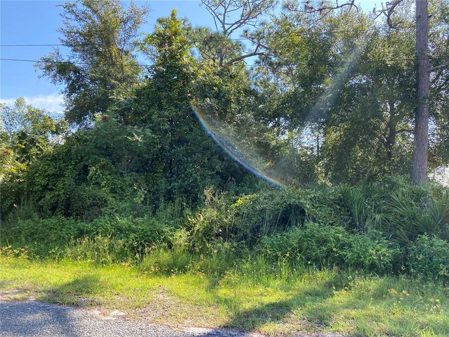 FOR FUTURE USE. This property is unincorporated and NO ACCESS to the property. YOU CAN BUY THIS FOR FUTURE USE. Close to grocery stores, shopping, schools, park, I-4, Orlando attractions, restaurants and Daytona Beaches