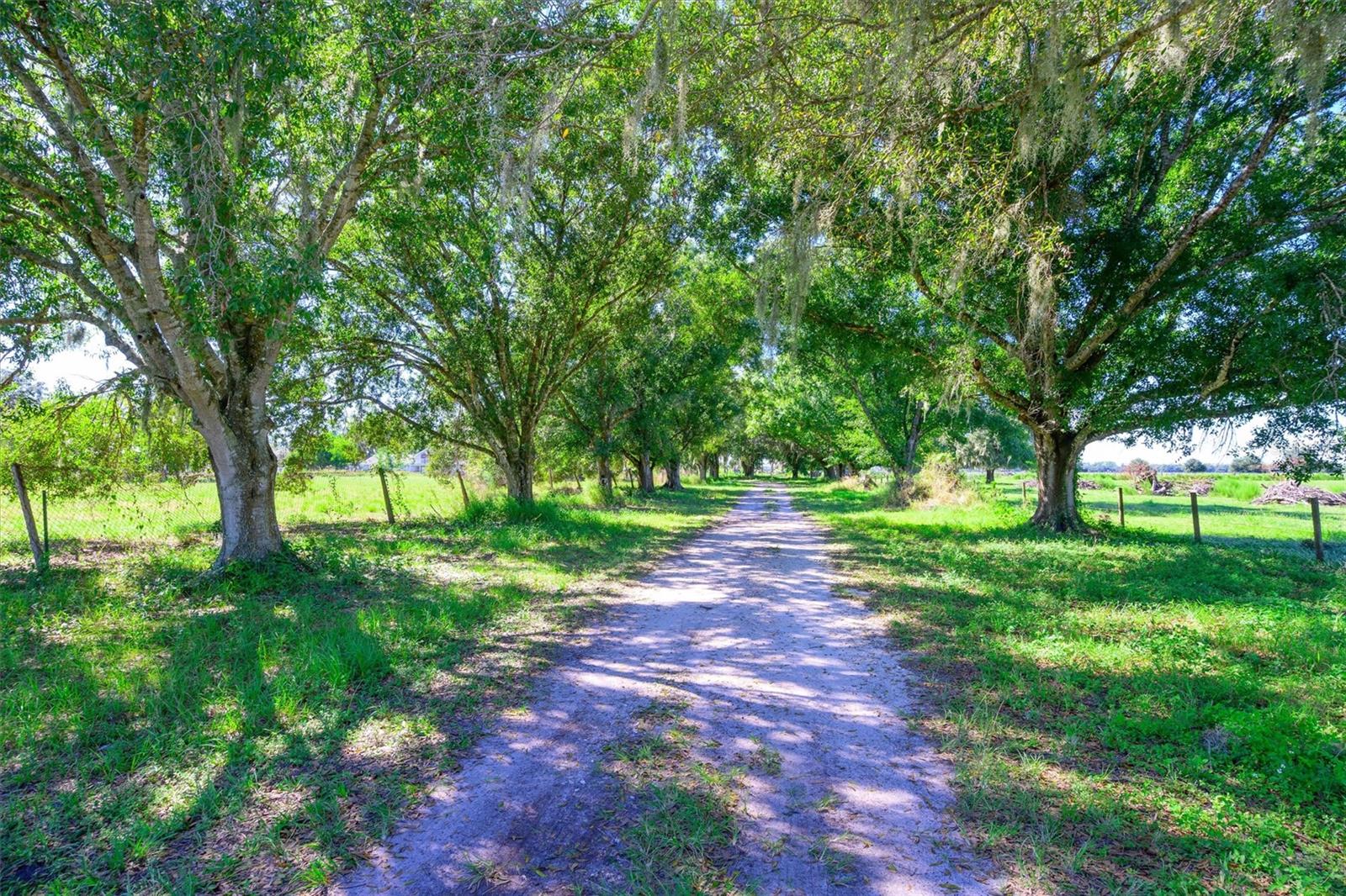 10650 BRENDLE ROAD, MYAKKA CITY, FL, 34251 2 10650 BRENDLE ROAD