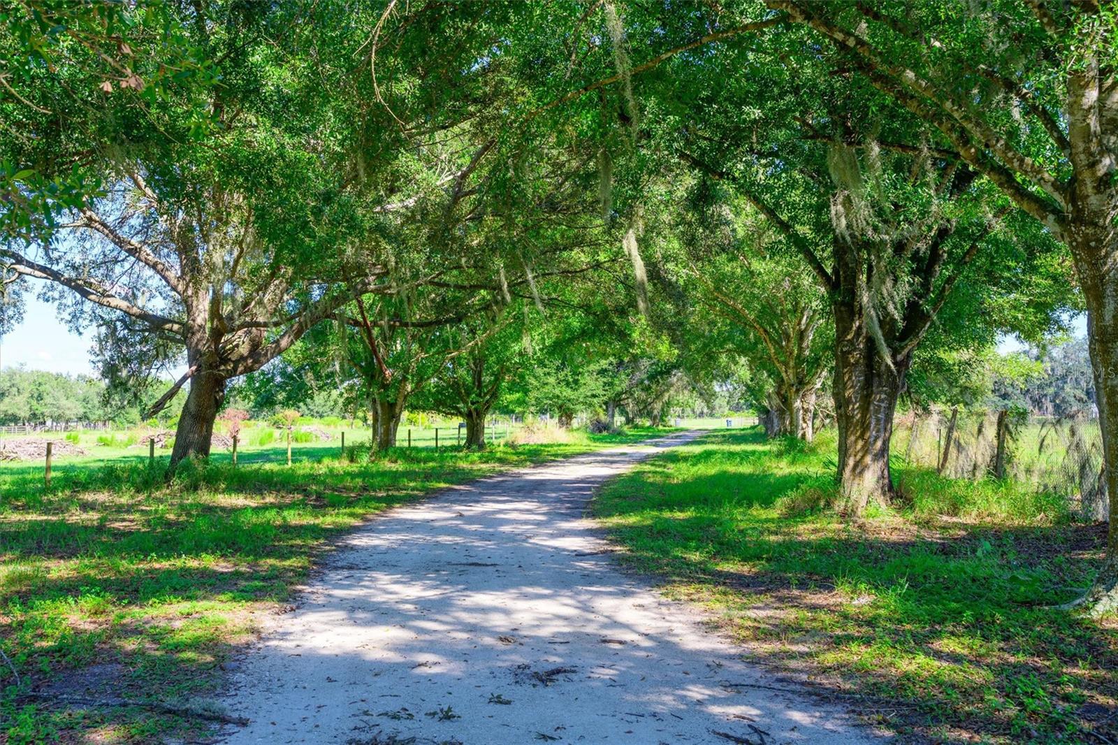 10650 BRENDLE ROAD, MYAKKA CITY, FL, 34251 3 10650 BRENDLE ROAD