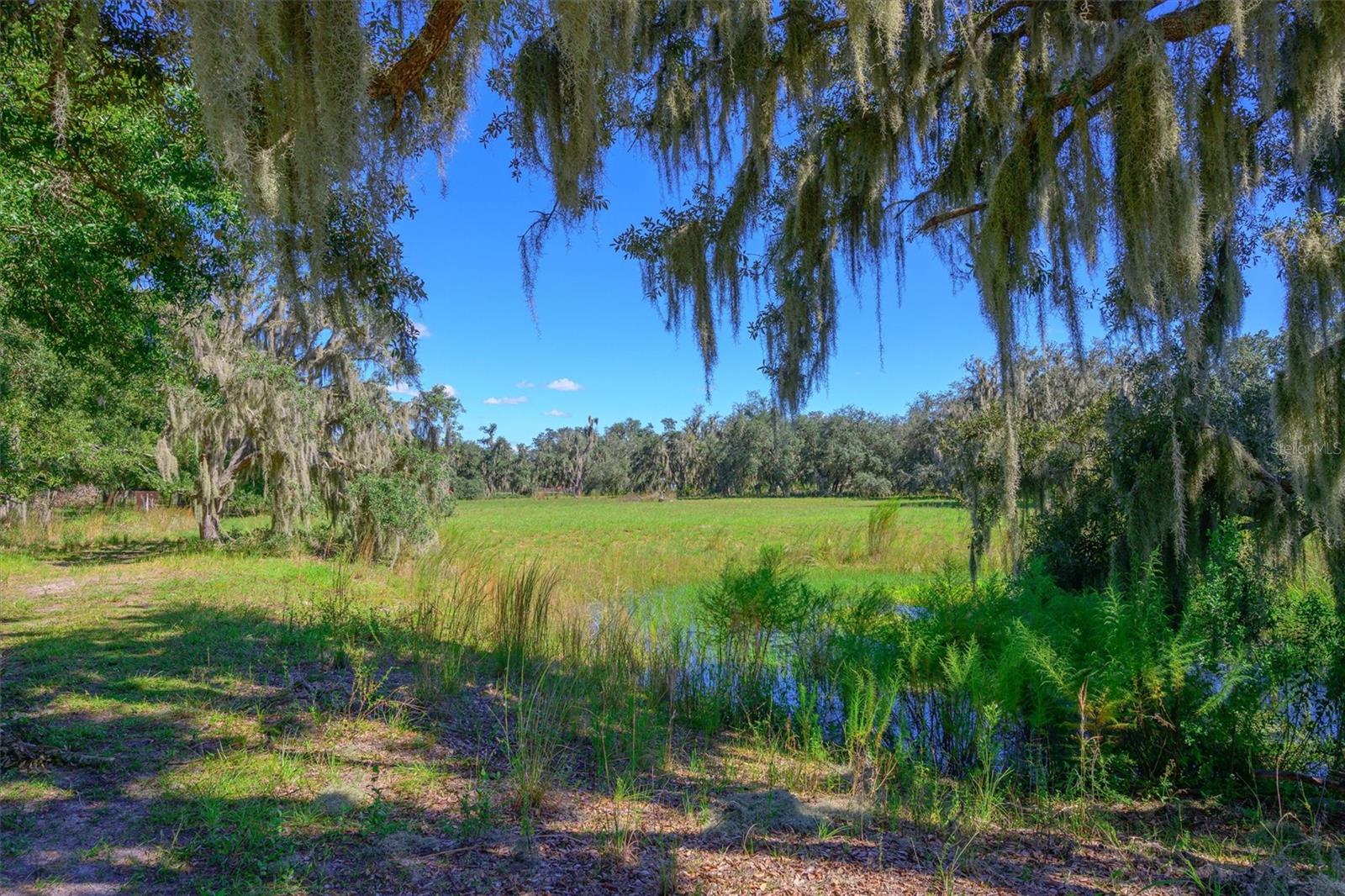 10650 BRENDLE ROAD, MYAKKA CITY, FL, 34251 4 10650 BRENDLE ROAD