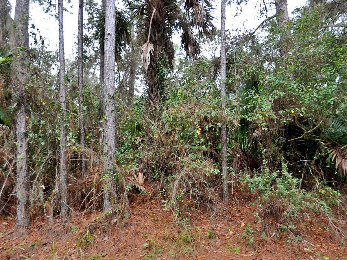 Land is that finite resource that we can't make any more of and this particular piece could be yours. Build your future home, build an investment property, hold on to it as an investment now with possible future gains. The possibilities are endless. Google Maps says it's approximately 10 minutes to Port Charlotte Town Center and approximately 9.5 miles to Charlotte Harbor.