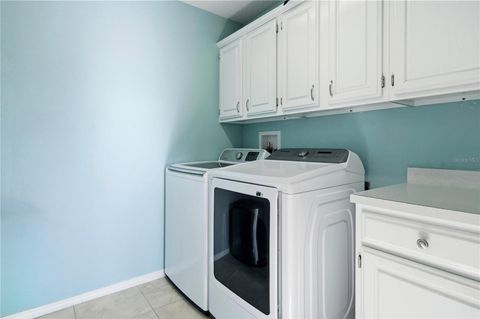 Tiny photo for 30106 Cheval Street, Mount Dora, FL 32757 (MLS # O6389511)