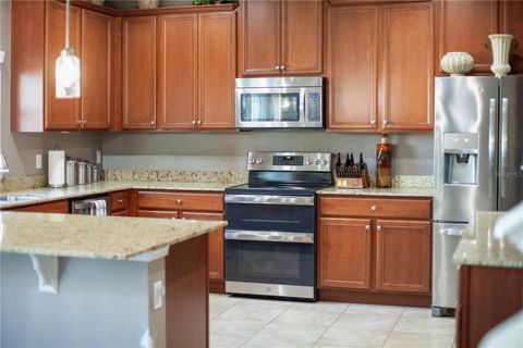 Tiny photo for 30106 Cheval Street, Mount Dora, FL 32757 (MLS # O6389511)