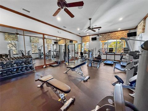 Tiny photo for 30106 Cheval Street, Mount Dora, FL 32757 (MLS # O6389511)