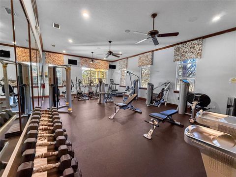 Tiny photo for 30106 Cheval Street, Mount Dora, FL 32757 (MLS # O6389511)