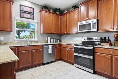 Tiny photo for 30106 Cheval Street, Mount Dora, FL 32757 (MLS # O6389511)