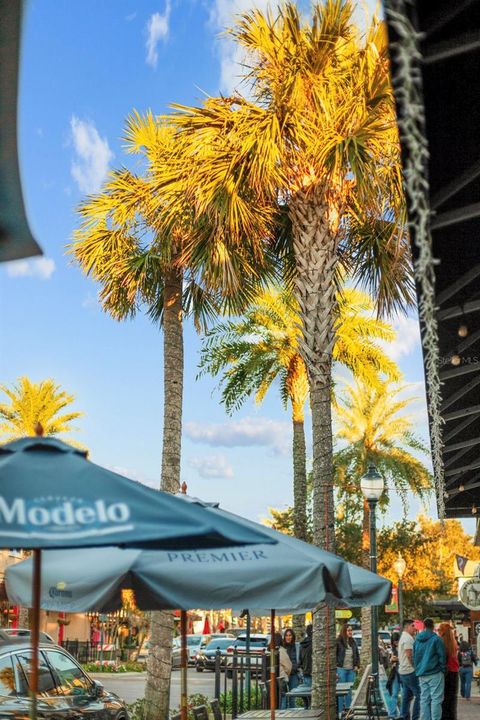 Tiny photo for 30106 Cheval Street, Mount Dora, FL 32757 (MLS # O6389511)