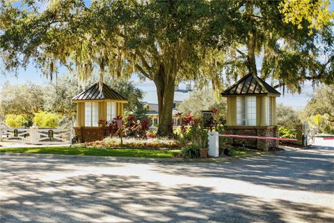 Tiny photo for 30106 Cheval Street, Mount Dora, FL 32757 (MLS # O6389511)
