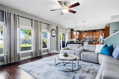 Tiny photo for 30106 Cheval Street, Mount Dora, FL 32757 (MLS # O6389511)