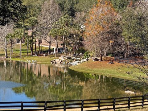 Tiny photo for 30106 Cheval Street, Mount Dora, FL 32757 (MLS # O6389511)