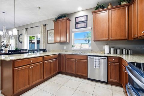 Tiny photo for 30106 Cheval Street, Mount Dora, FL 32757 (MLS # O6389511)