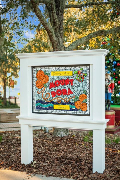 Tiny photo for 30106 Cheval Street, Mount Dora, FL 32757 (MLS # O6389511)