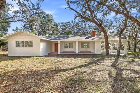 Photo of 34582 Orchid Parkway, Dade City, FL 33523 (MLS # TB8457354)