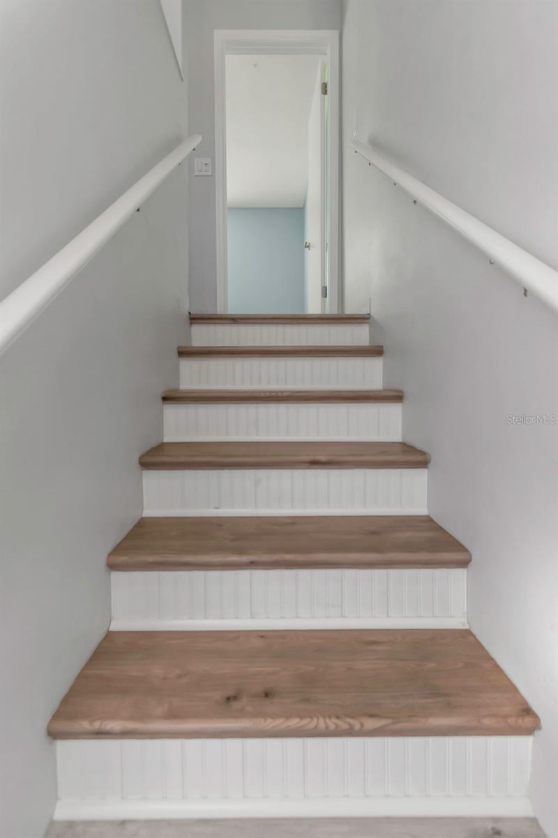 BRIAR PATCH - Residential