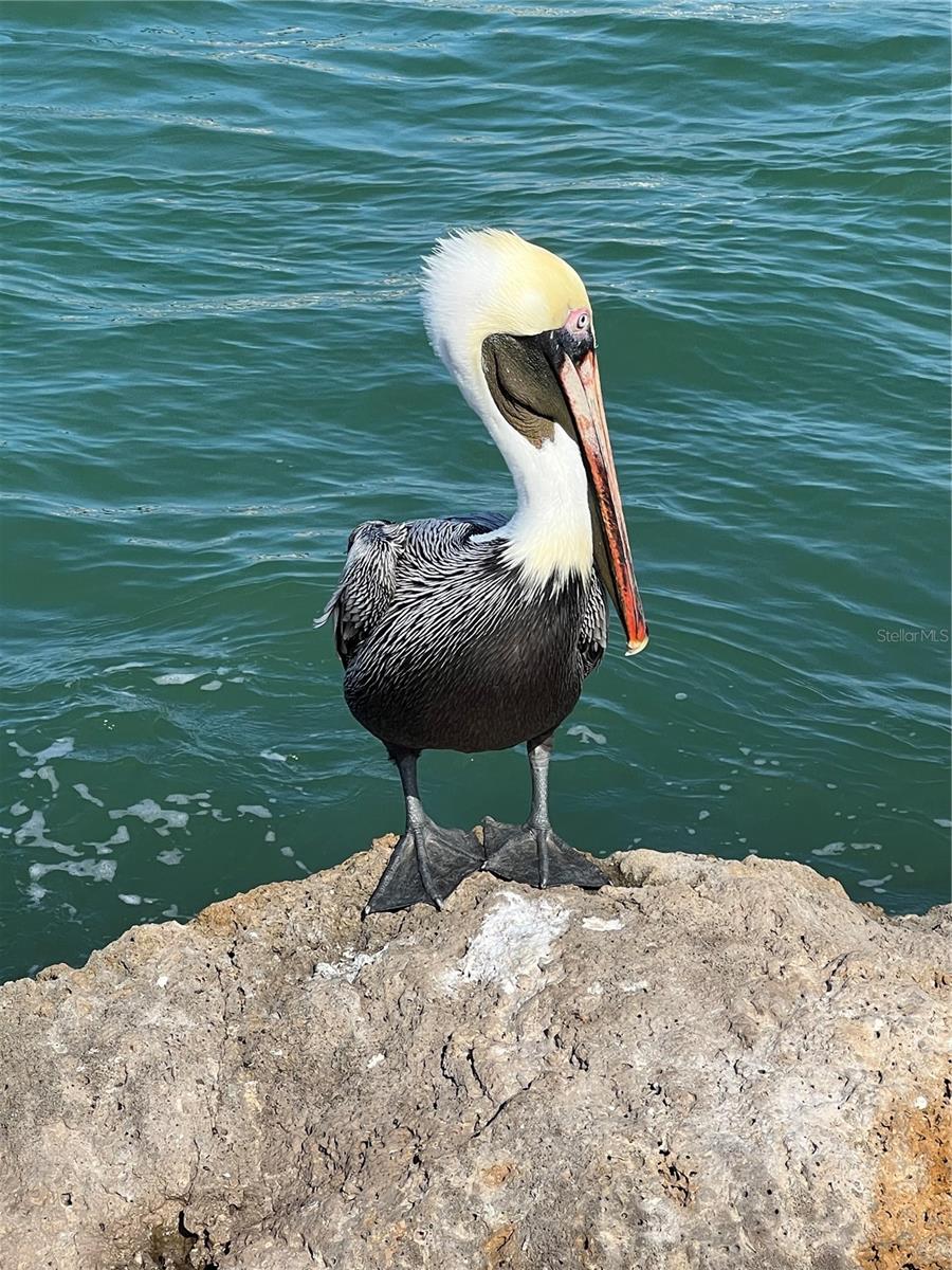 HARBOR LIGHTS MHP CO-OP - Residential