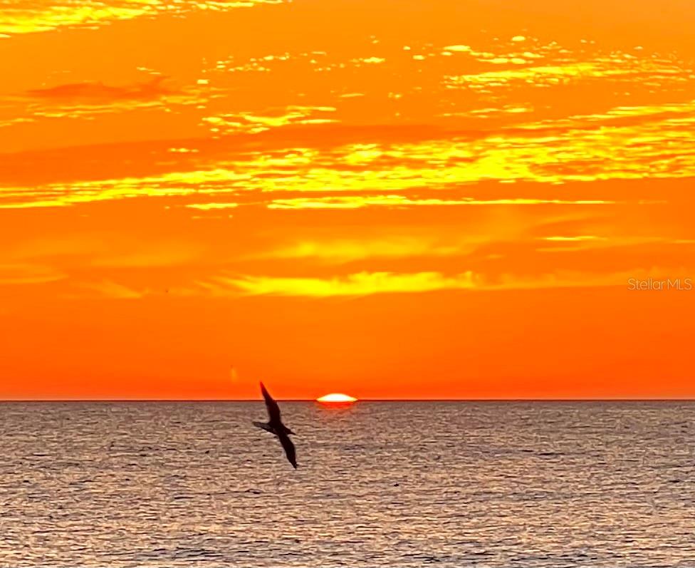 HARBOR LIGHTS MHP CO-OP - Residential